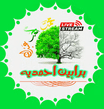 Logo Islam-Amadiyya
